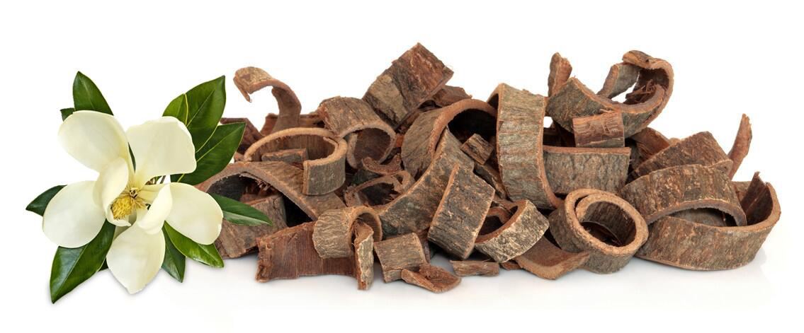 magnolia bark extract magnolia bark extract