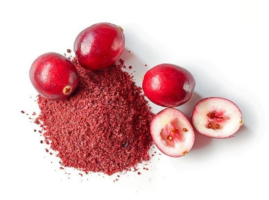 cranberry fruit powder cranberry fruit powder