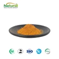 Curcumin 99 foiz
